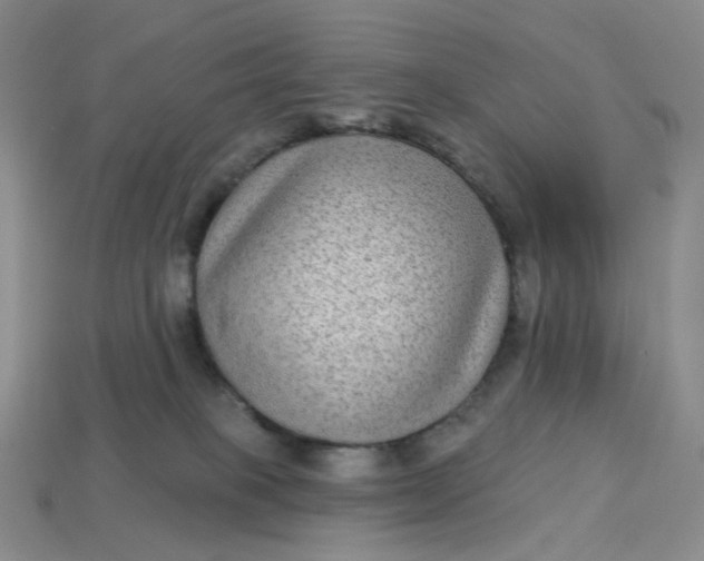 X0000113270085200910011437