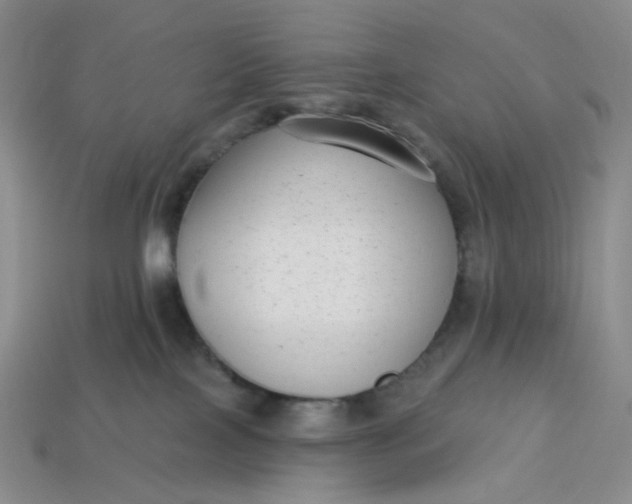 X0000113270089200910011437