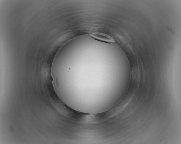 X0000113270092200910011437