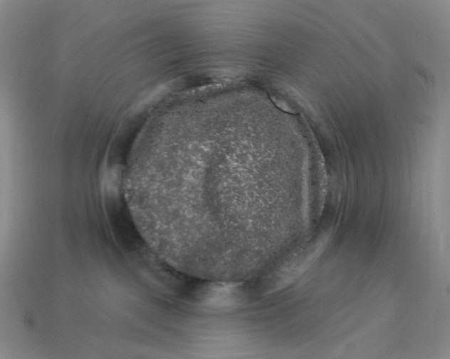 X0000113270093200910011437