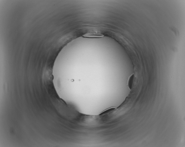 X0000113270096200910011437