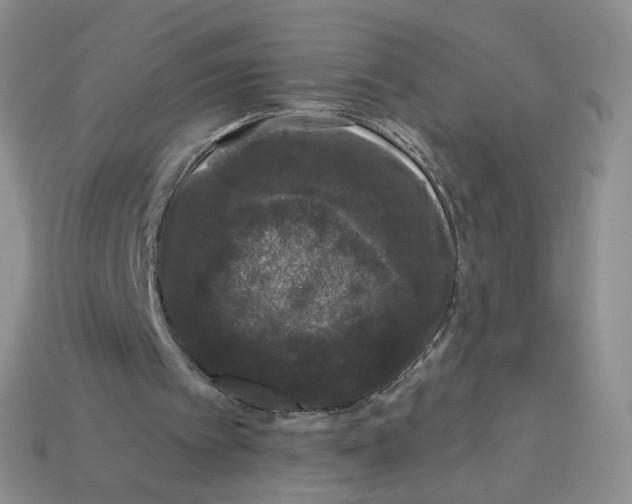 X0000113270097200910011437