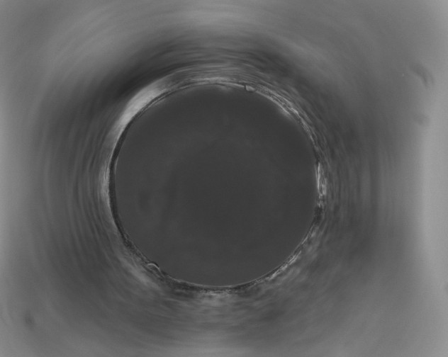 X0000113270099200910011437