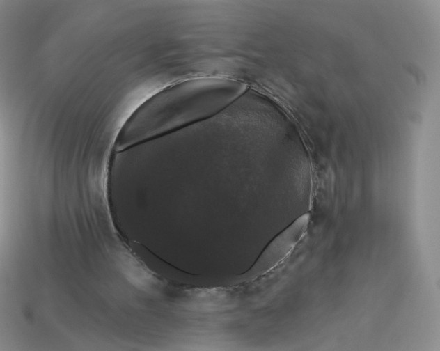 X0000113270100200910011437