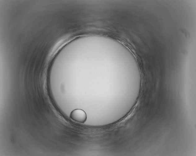 X0000113270101200910011437