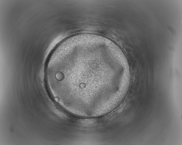 X0000113270102200910011436