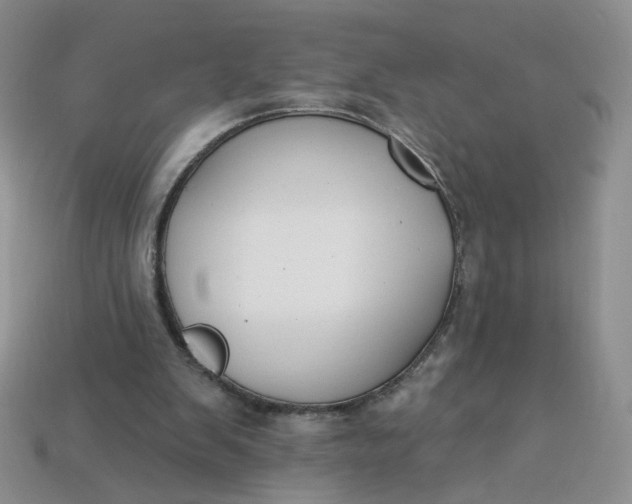 X0000113270103200910011436