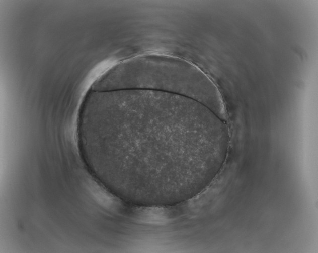 X0000113270104200910011436