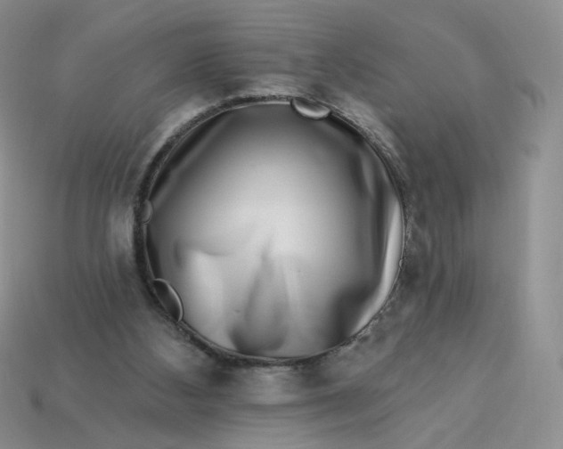 X0000113270108200910011436