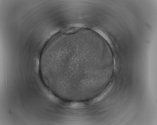 X0000113270109200910011436