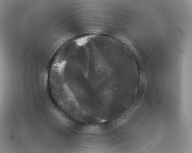 X0000113270110200910011436