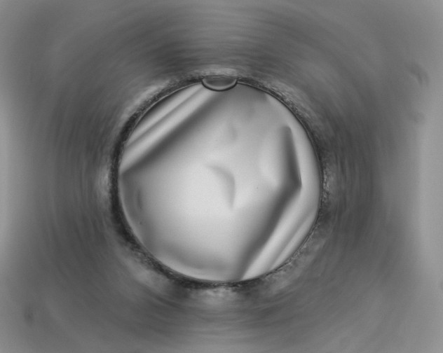 X0000113270112200910011436