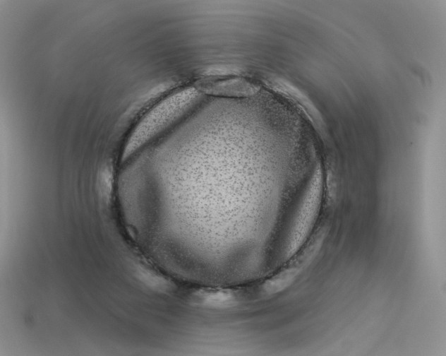 X0000113270113200910011436