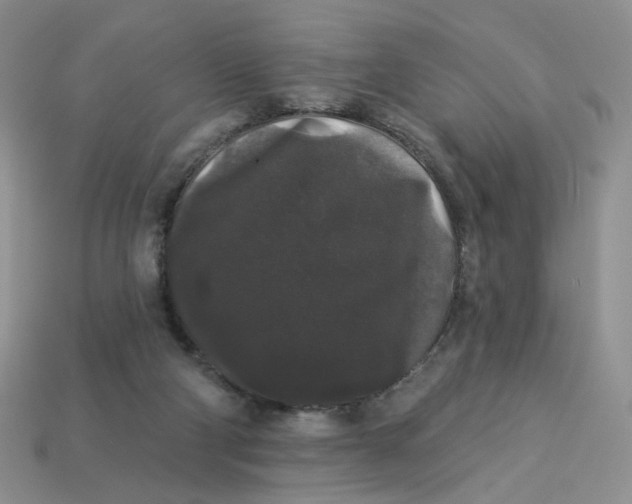 X0000113270114200910011436