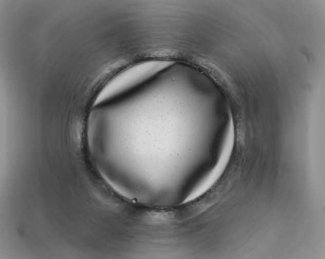 X0000113270115200910011436