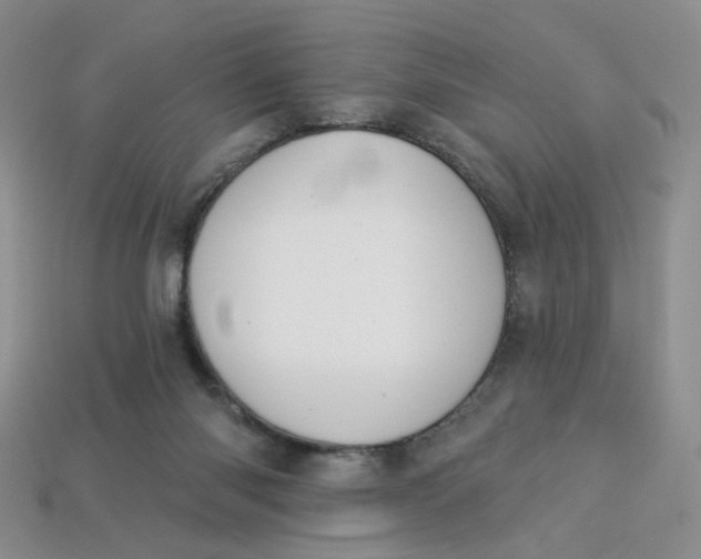 X0000113270118200910011436