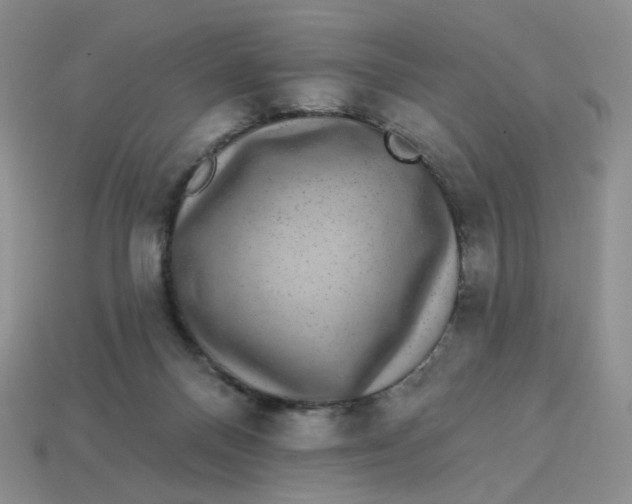 X0000113270120200910011436