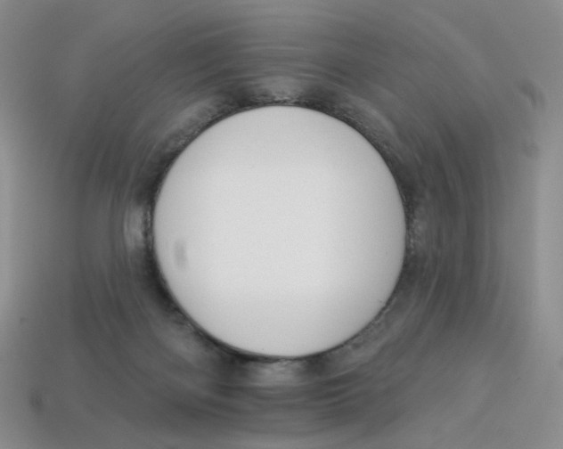 X0000113270122200910011436