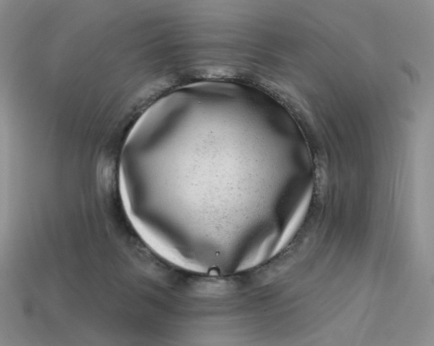 X0000113270123200910011436