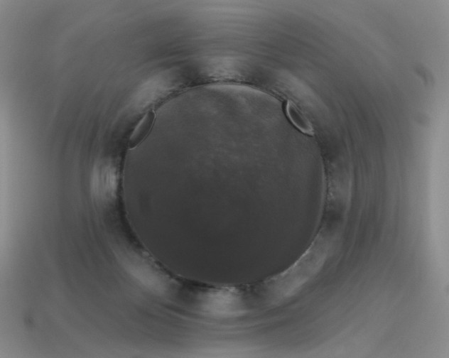 X0000113270124200910011436