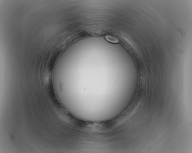 X0000113270125200910011436