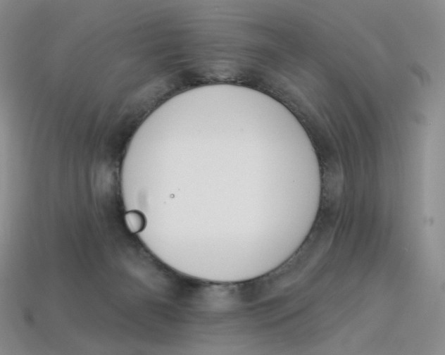 X0000113270126200910011436