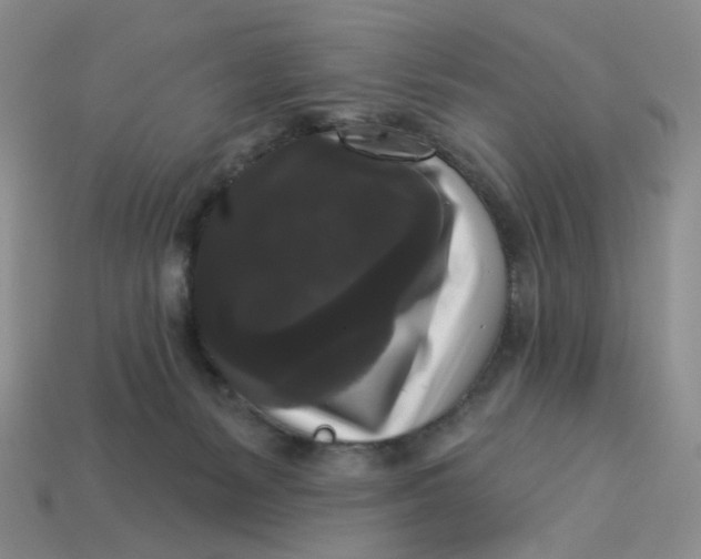 X0000113270127200910011436