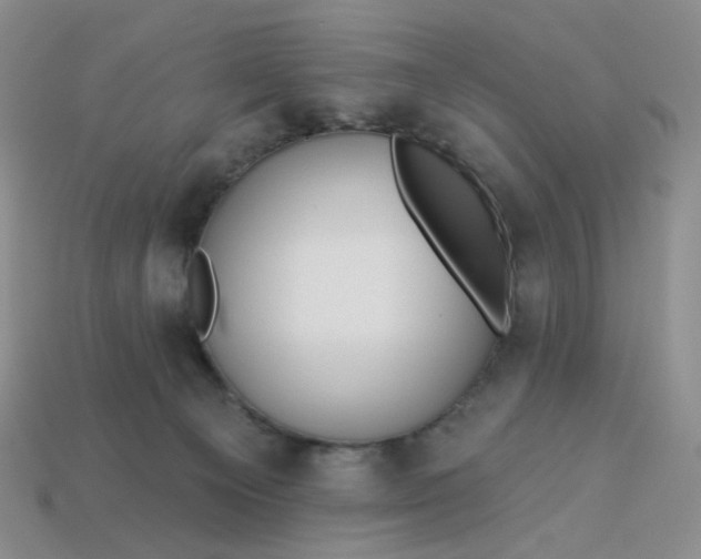 X0000113270129200910011436