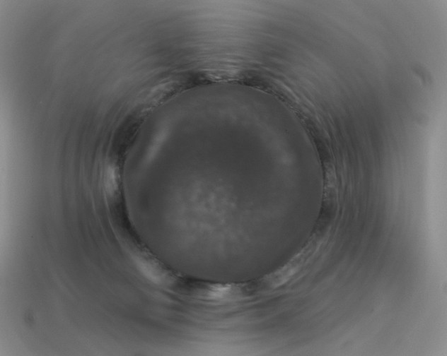 X0000113270130200910011436