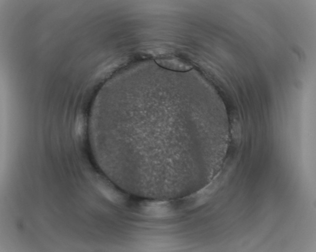 X0000113270132200910011436