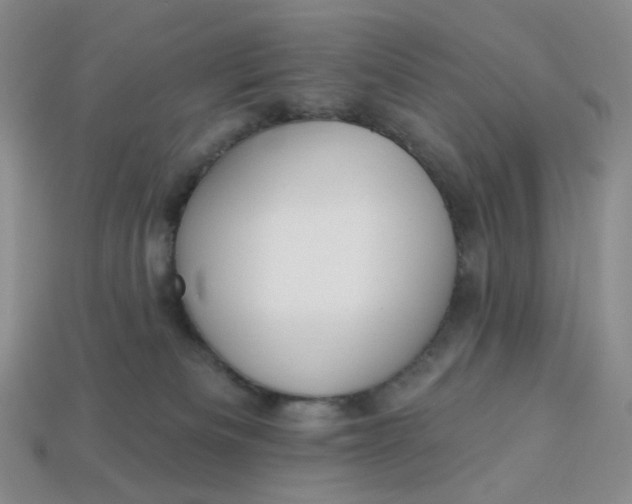 X0000113270133200910011436