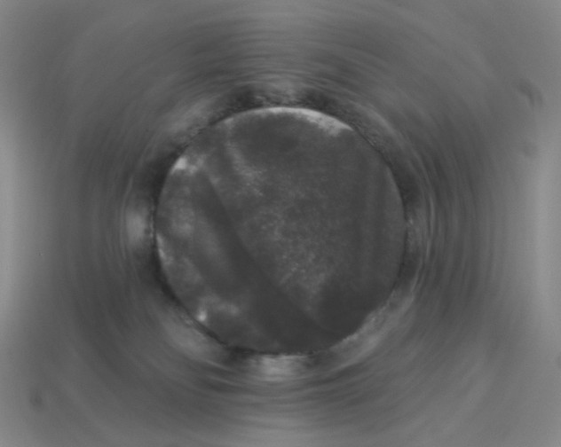 X0000113270134200910011436