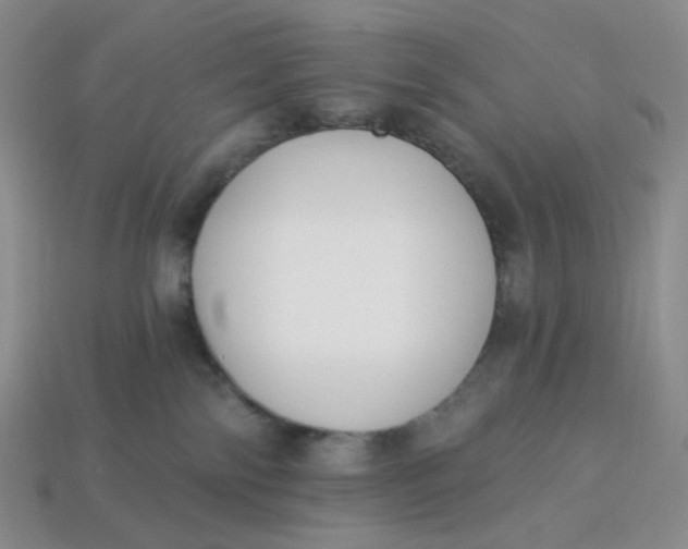 X0000113270138200910011436