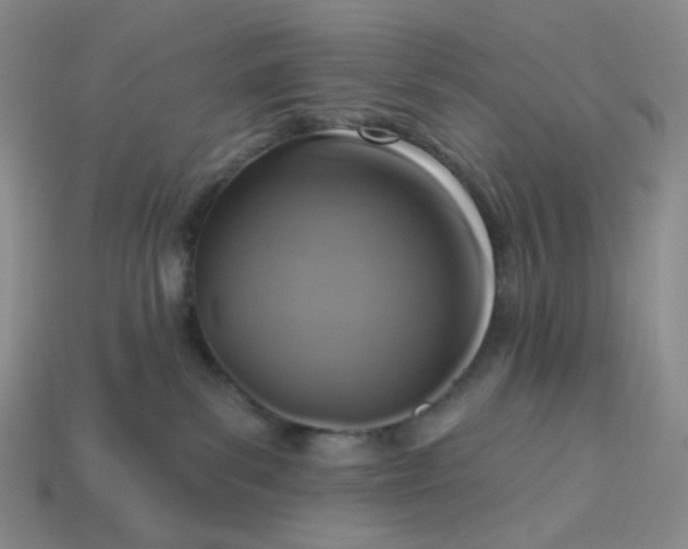 X0000113270139200910011436