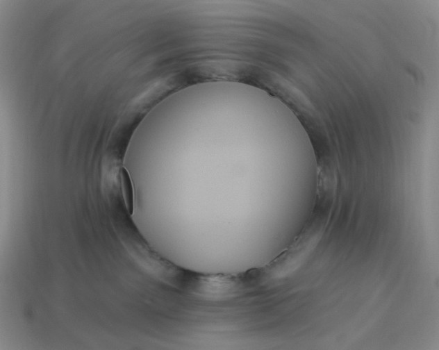 X0000113270141200910011436