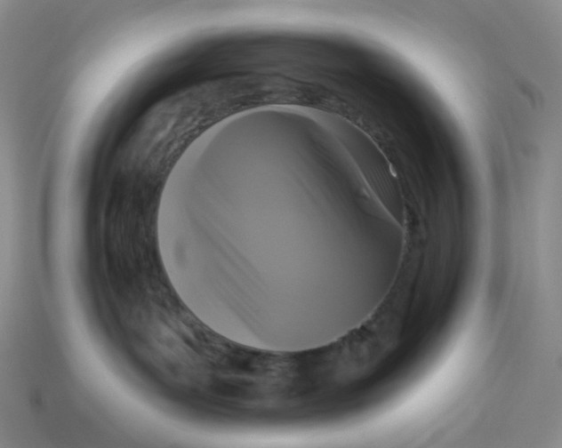 X0000113270143200910011436