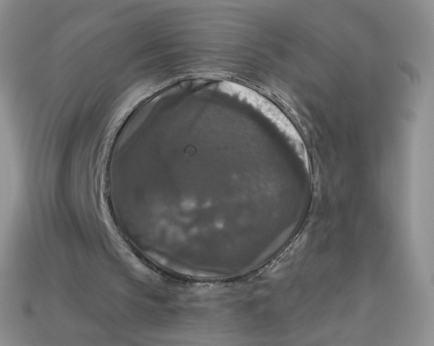 X0000113270145200910011435