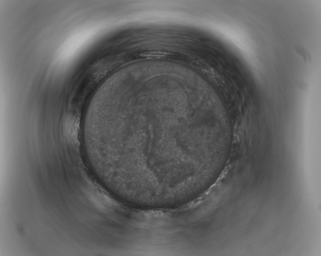 X0000113270146200910011435