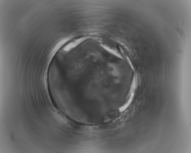 X0000113270147200910011435