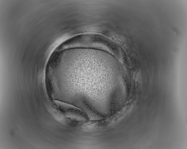 X0000113270148200910011435