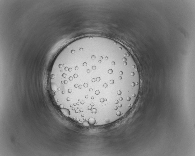 X0000113270149200910011435