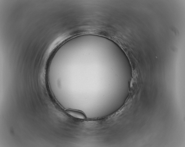 X0000113270150200910011435