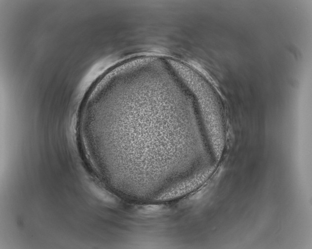 X0000113270151200910011435