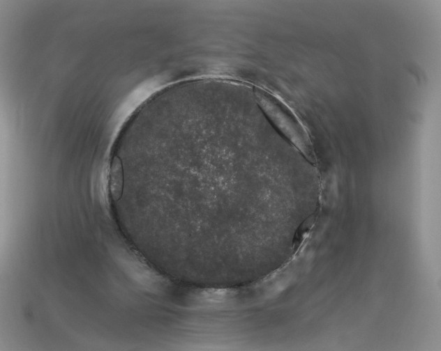 X0000113270152200910011435