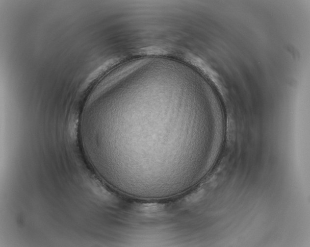 X0000113270153200910011435