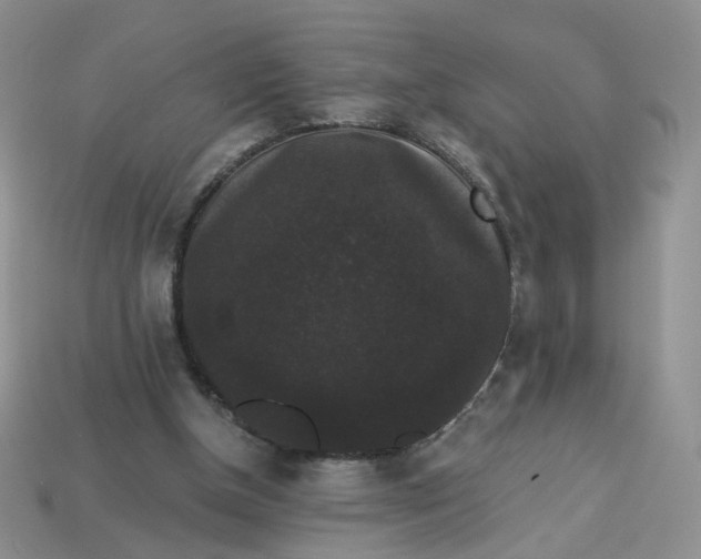 X0000113270154200910011435