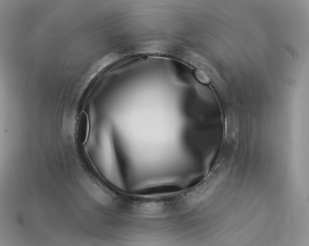 X0000113270156200910011435