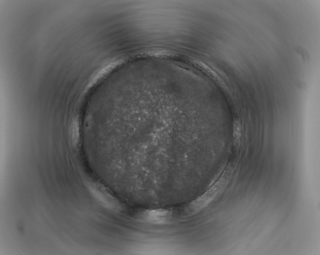 X0000113270158200910011436