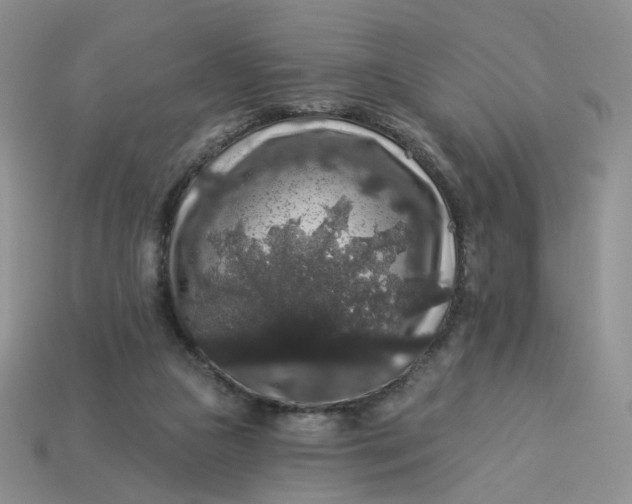 X0000113270161200910011436