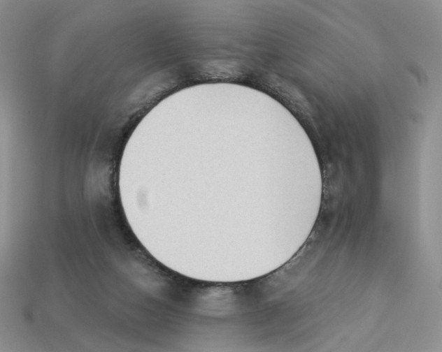 X0000113270162200910011436